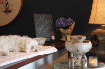 Daisy says “Welcome to the Daisy Shop! Er.. I mean, Mom’s shop..”
