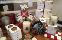 Fraiser Fir now in stock! Perfect for Christmas time!