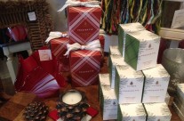 Frasier Fir is now in stock! Perfect for Christmas time!