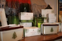 Frasier Fir from Thymes