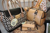 New Fall Spartina Line!