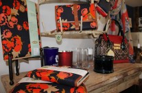 New Fall Spartina Line!