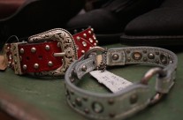 Boot Belts!