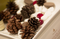 Tis the season for potpourri~