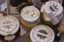 Yummy New Food Items!