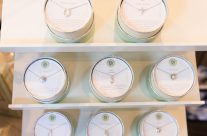 New Spartina Jewelry